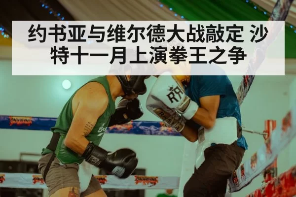 约书亚与维尔德大战敲定 沙特十一月上演拳王之争