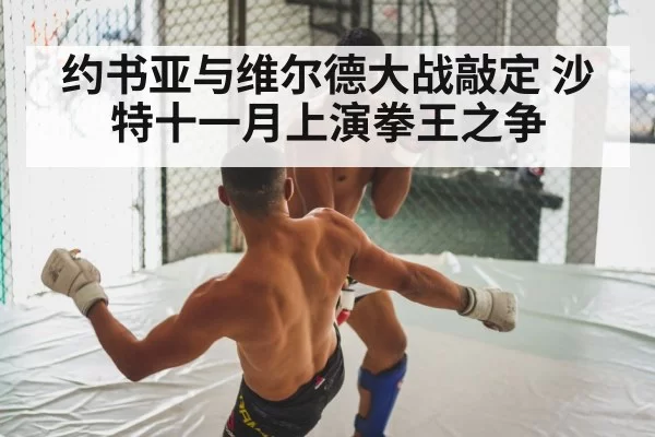 boxing fight